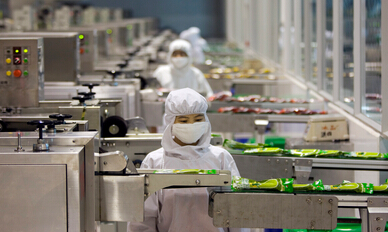 �ɵ����o�Ž^ʳƷ��Ⱦ