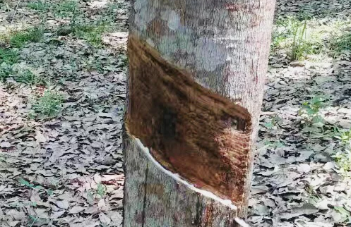 點(diǎn)擊瀏覽下一頁